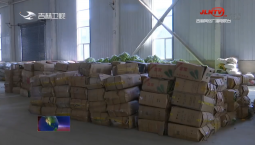 【眾志成城 抗擊疫情】遼寧省捐贈蔬菜陸續分發到長春市各區