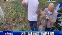 第1報道｜琿春：野生獐受傷 警民攜手相救