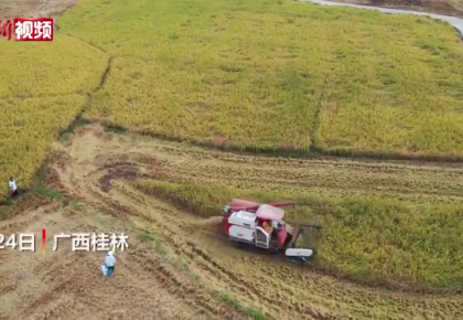 【美麗中國·網絡媒體生態行】探訪廣西超級稻產量第一縣 袁隆平稱贊“再生稻甲天下”