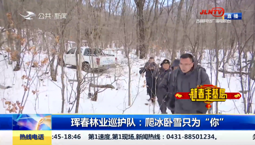 第1报道｜珲春林业巡护队：爬冰卧雪只为“你”