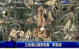 第1報道｜三佳湖公園景色美 秋意濃