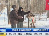 第1报道｜长春净月潭引进驯鹿 游客可拍照打卡