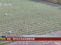 【高质量发展首季开门红】吉林：现代化大农业实现新突破