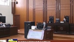 吉林省兩起涉疫情刑事案件定罪科刑
