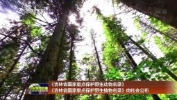 《吉林省國家重點保護野生動物名錄》《吉林省國家重點保護野生植物名錄》向社會公布