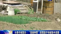 第1報道｜長春市城管辦：“毀綠種菜”的菜園子將被集中清理