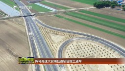 琿烏高速大安南互通項目竣工通車