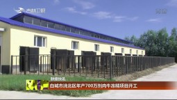 【聯播快訊】白城市洮北區年產700萬劑肉牛凍精項目開工