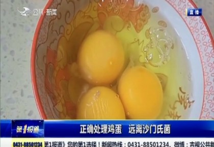 第1報道｜正確處理雞蛋 遠離沙門氏菌