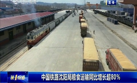 第1報道｜中國鐵路沈陽局糧食運輸同比增長超80％