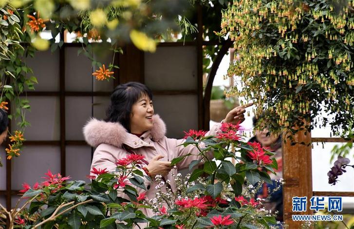 （社会）（3）北京：赏花卉 过春节