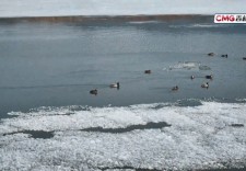 春光正好 | 松花湖畔 冰雪消融间的生态画卷