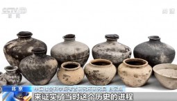 6个田野考古发掘项目入选考古新发现 进一步推进“中华文明多元一体”研究进程