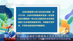 北京：到2025年各区均要建有十五年制特教学校
