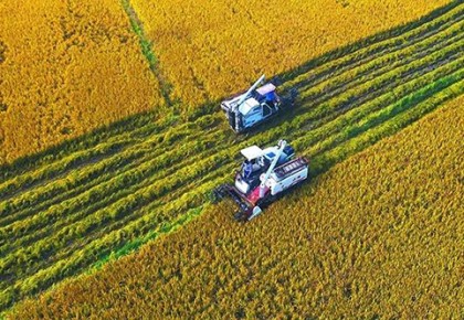 吉林省最新擬定17個高標準農田建設項目！有你家鄉那兒嗎?