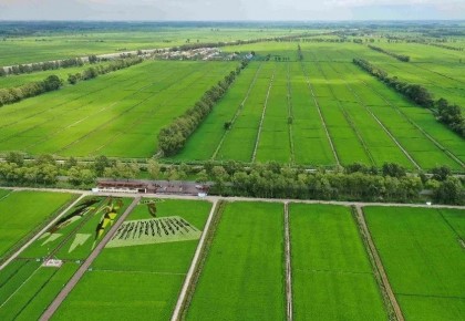 吉林省農業現代化進程走在全國前列