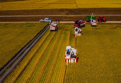 稻菽千重浪丨中國要強，農業必須強