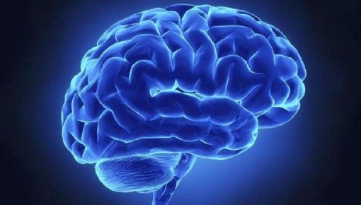 為何總感覺“腦子不夠用”？五個因素加速大腦衰老
