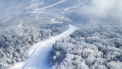 嗨玩吉林新雪季丨特別觀察：北大湖，如何打造世界滑雪新高地