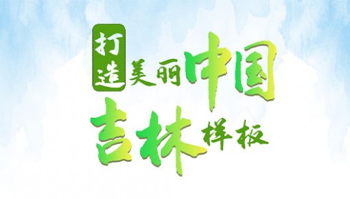 吉日吉言｜正月十二·世界濕地日：打造美麗中國吉林樣板